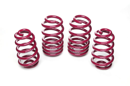 Vogtland Lowering Springs for Audi A4 11.2000-11.2007 950074