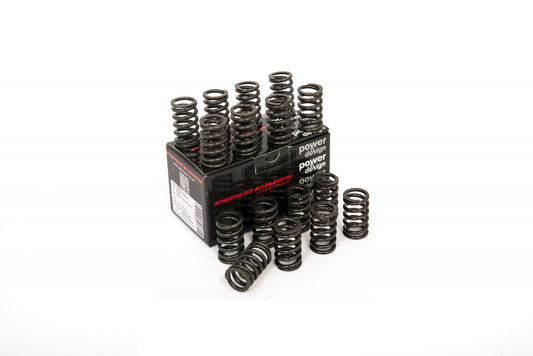 Piper Valve Springs for Vauxhall Astra Vxr 2.0 Turbo - Mk5 VSSASTHVXR